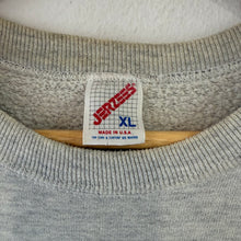 Load image into Gallery viewer, Sudadera New York Giants Early 90s Jerzees Vintage - M/L
