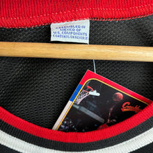 Cargar imagen en el visor de la galería, Camiseta Chicago Bulls Alternate 1995-96 Dennis Rodman #91 Champion Vintage - S/M
